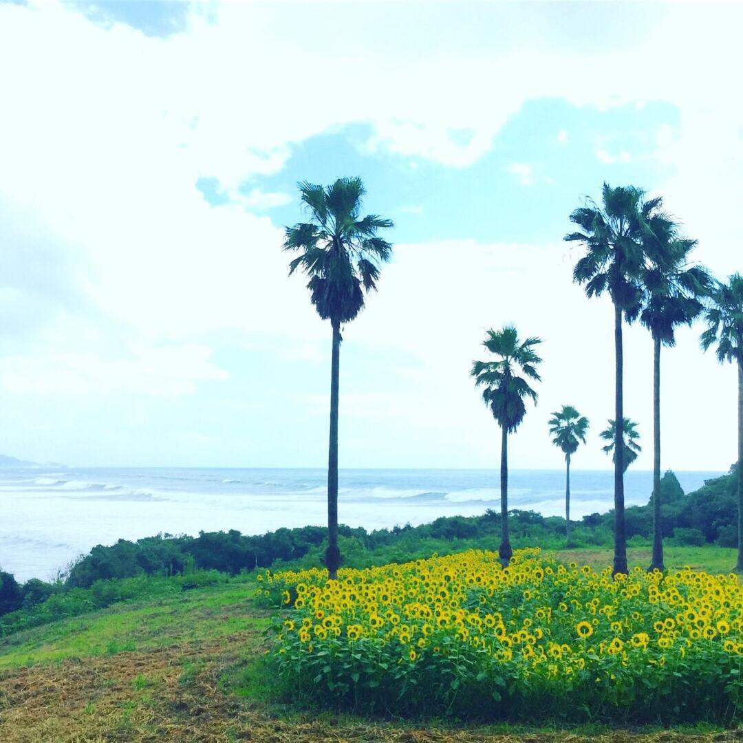 Guesthouse ＆ Beach Cafe Fuego Hyuga Екстериор снимка